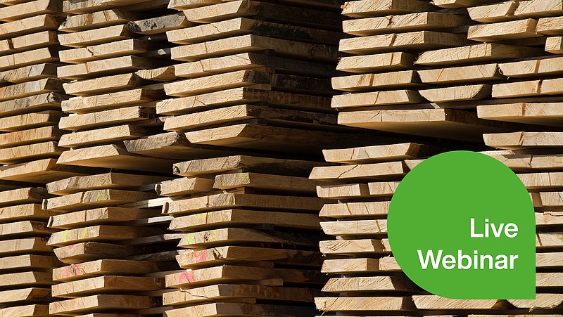 Webinar: Feuchte- und Temperaturüberwachung bei der Holztrocknung