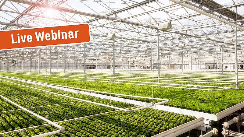 Webinar: Climate Control in Greenhouses